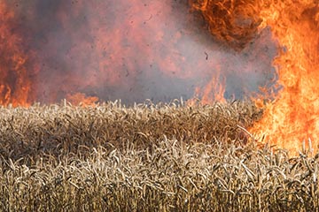 Landwirtschaftliche Feuerversicherung